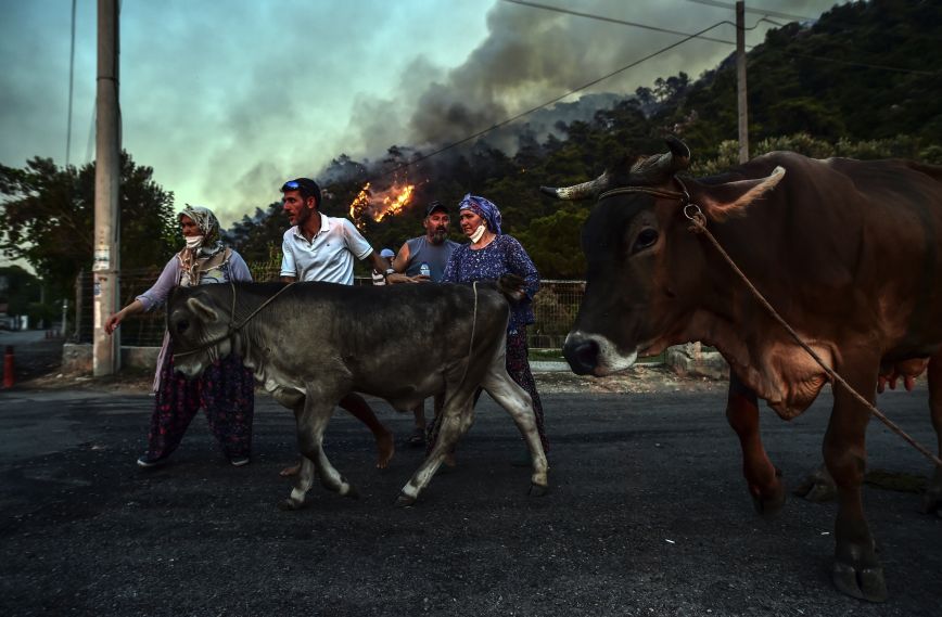 Απόλυτος συναγερμός στην Τουρκία: Η φωτιά πλησιάζει τον ηλεκτρικό σταθμό του Μίλας