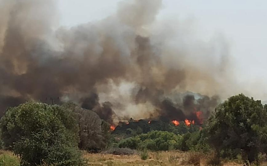 Φωτιά στη Ρόδο: Εκκενώνεται η Κοιλάδα των Πεταλούδων &#8211; Στη μάχη και το Beriev-200