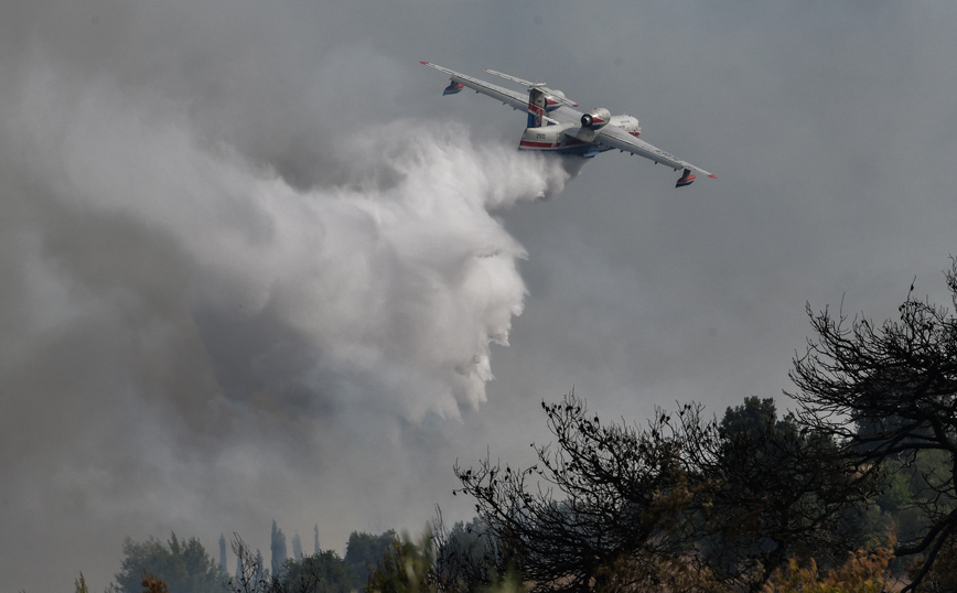 Πυρκαγιές από κεραυνούς σε Μάνδρα και Χαλκιδική &#8211; Συνεχίζεται η μάχη σε Εύβοια, Ηλεία, Αρκαδία και Λακωνία