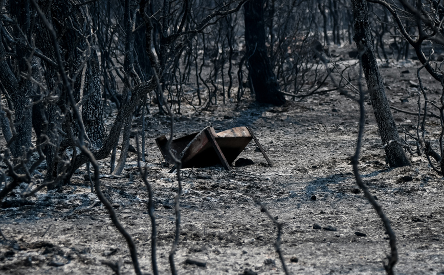 Φωτιά σε Κερατέα και Βίλια: Περίπου 50.000 στρέμματα οι καμένες εκτάσεις &#8211; Δείτε δορυφορική εικόνα