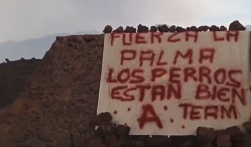 Λα Πάλμα: Ομάδα ακτιβιστών ισχυρίζεται ότι έσωσε τα σκυλιά που είχαν παγιδευτεί σε ταράτσα και τα τάιζαν drones