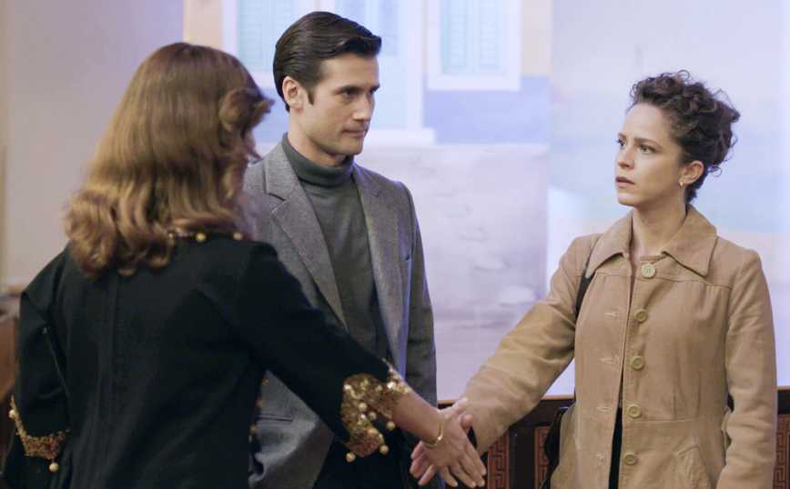 ΑΓΡΙΕΣ ΜΕΛΙΣΣΕΣ ΑΓΡΙΕΣ ΜΕΛΙΣΣΕΣ