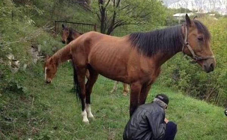 Φωτογραφίες που κοιτάς και&#8230; ξανακοιτάς