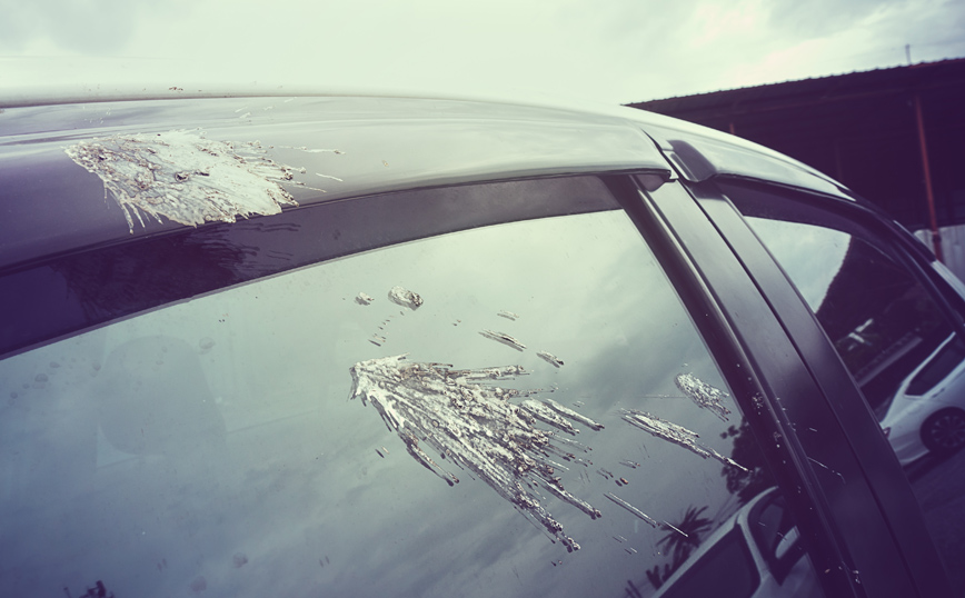 Kουτσουλιές πουλιών σε αμάξι Kουτσουλιές πουλιών σε αμάξι