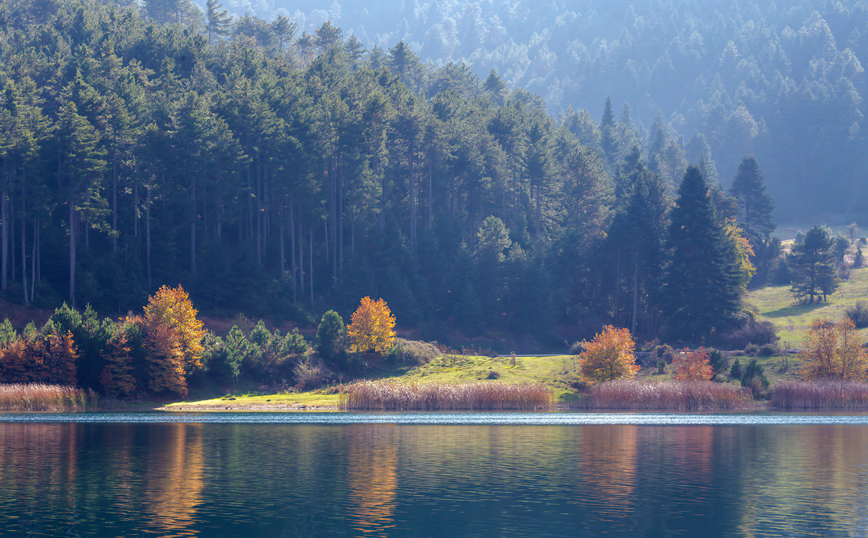 Πλούσια ελατοδάση γύρω από τη λίμνη Δόξα Πλούσια ελατοδάση γύρω από τη λίμνη Δόξα