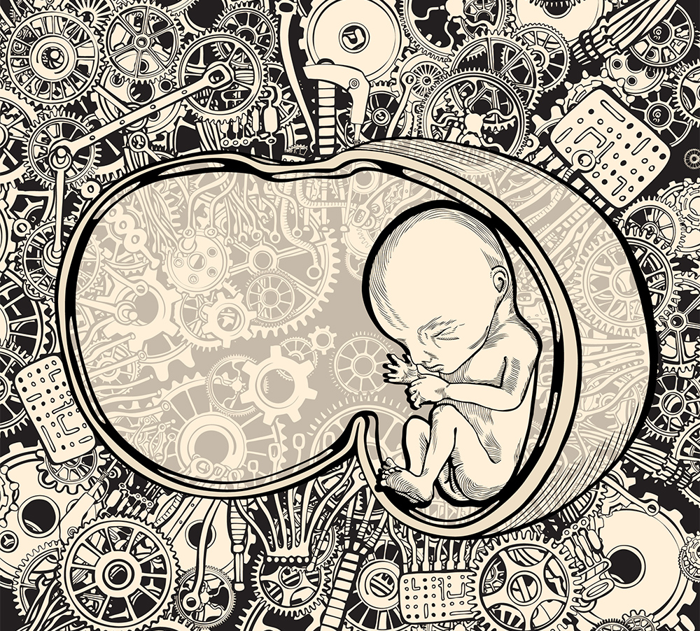 Βρέφος σε τεχνητή μήτρα Βρέφος σε τεχνητή μήτρα