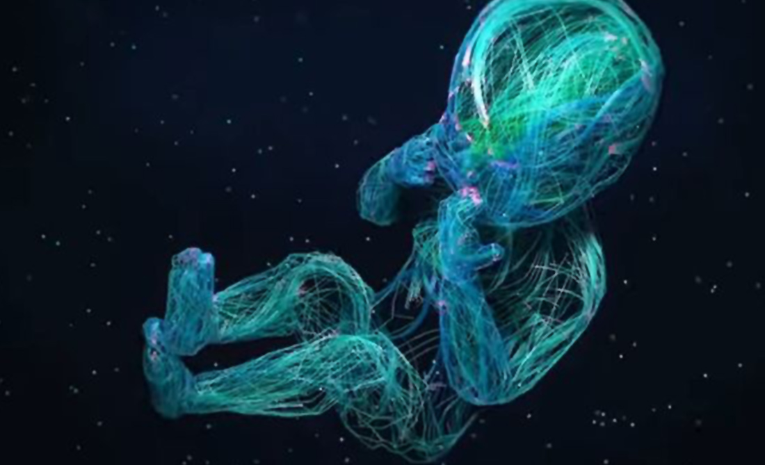 Βρέφος σε τεχνητή μήτρα Βρέφος σε τεχνητή μήτρα