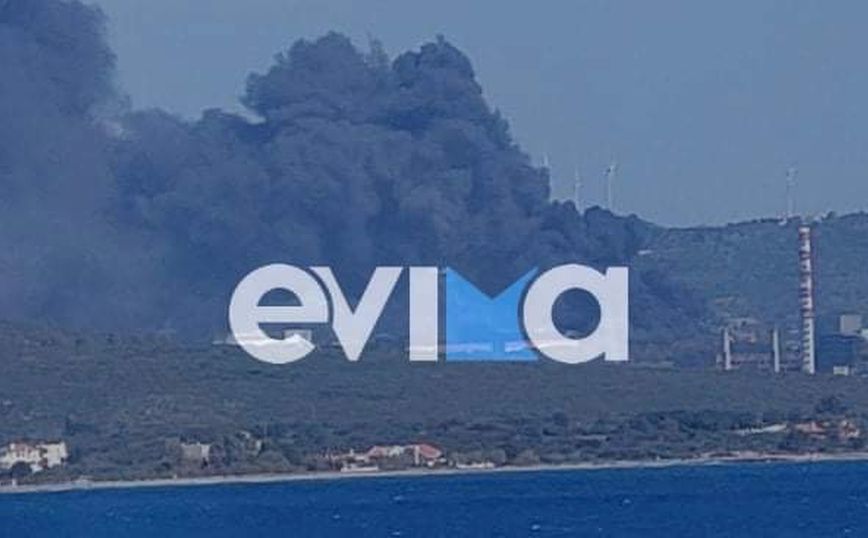 Εύβοια: Μεγάλη φωτιά κοντά στο εργοστάσιο της ΔΕΗ στο Αλιβέρι