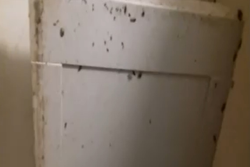 Άγιος Παντελεήμονας: Εικόνες σοκ με δεκάδες κατσαρίδες να κόβουν&#8230; βόλτα στο διαμέρισμα που ζούσαν τα τρία παιδιά