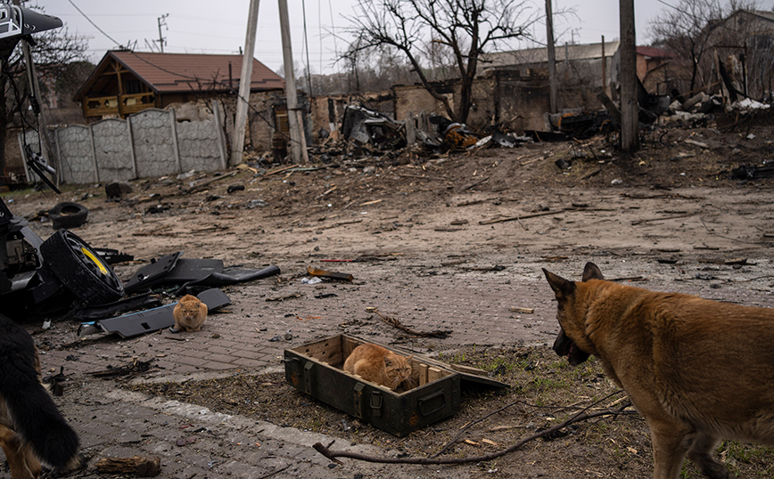 Πόλεμος στην Ουκρανία Πόλεμος στην Ουκρανία