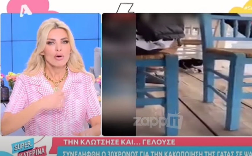 Κακοποίηση γάτας στην Αιδηψό: Έξαλλη η Κατερίνα Καινούργιου- «Τα κτήνη, θα τους είχα ρίξει ένα χαστούκι»