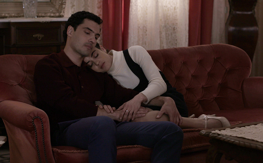 Άγριες Μέλισσες Άγριες Μέλισσες