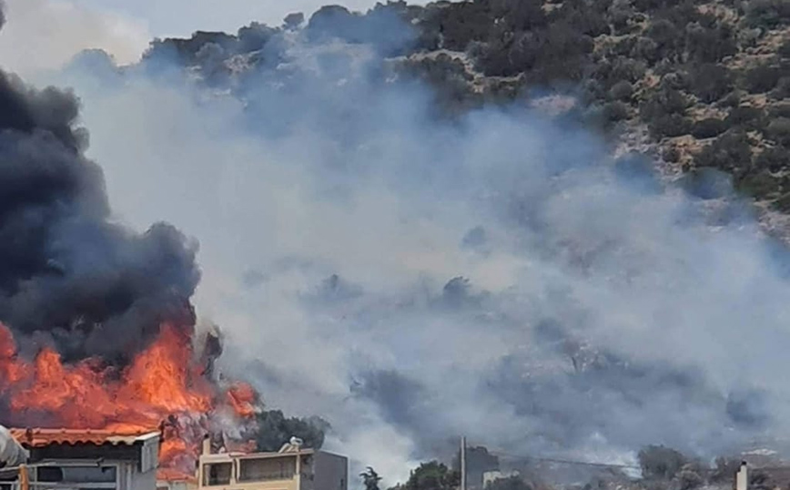 Φωτιά στην Αρτέμιδα: Οριοθετήθηκε η πυρκαγιά που είχε φτάσει δίπλα στα σπίτια &#8211; Ένας τραυματίας