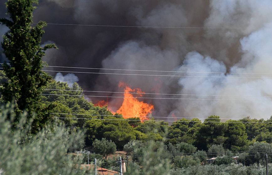 Πάτρα: Παραμένει σε εξέλιξη η φωτιά στην περιοχή Καλλιθέα