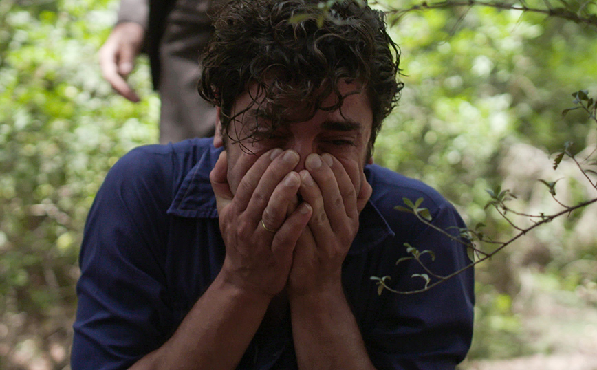 Άγριες Μέλισσες Άγριες Μέλισσες