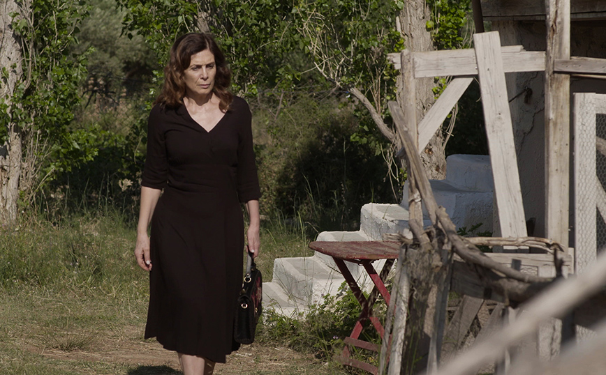 Άγριες Μέλισσες Άγριες Μέλισσες