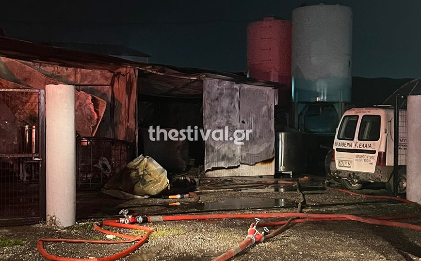 Θεσσαλονίκη: Φωτιά σε επιχείρηση με αιθέρια έλαια &#8211; Στο Παπαγεωργίου ένας άνδρας με πολλαπλά εγκαύματα