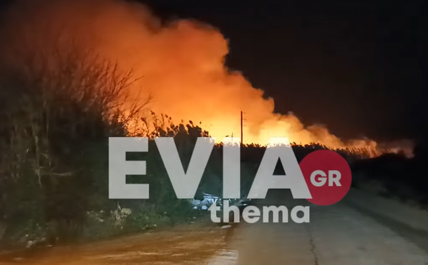 Εύβοια: Μαίνεται η φωτιά στον υδροβιότοπο στα Ψαχνά