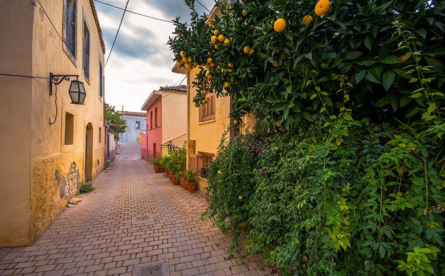 Αρχάνες, Ηράκλειο, Κρήτη Αρχάνες, Ηράκλειο, Κρήτη