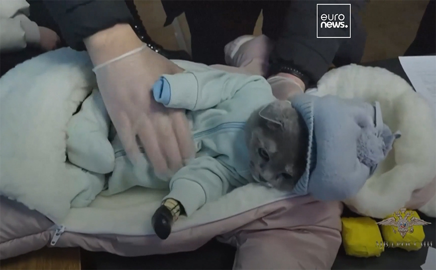 Απίστευτη Ρωσίδα μεταμφίεσε την γάτα της σε μωρό για να μεταφέρει ναρκωτικά