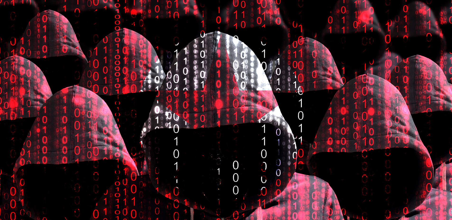 «Οι τιμωροί του Ναβάλνι»: Ομάδα χάκερ μπήκαν στους υπολογιστές των φυλακών
