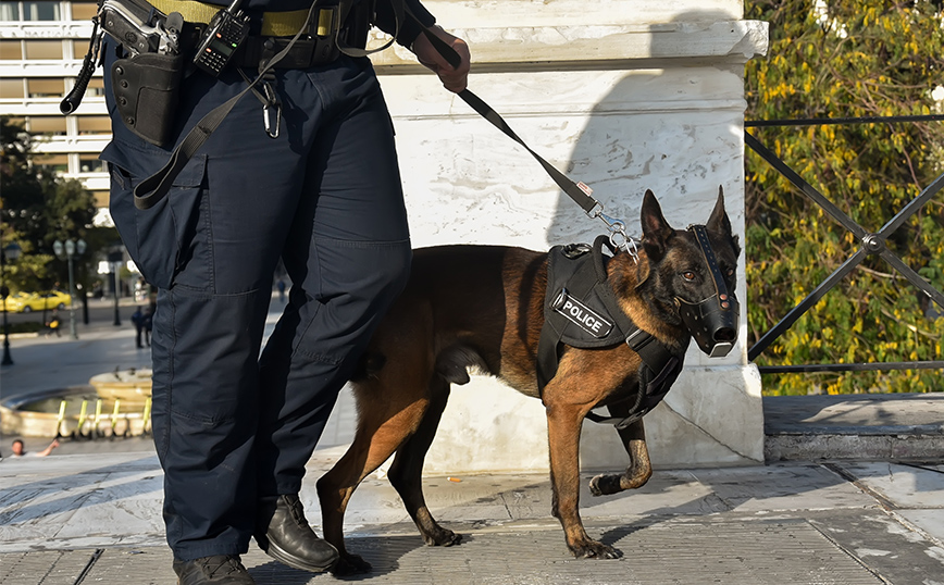 Ξεσπά ο αδερφός του αστυνομικού &#8211; χειριστή λαγωνικού Κ9 που αυτοκτόνησε: «Αυτός τον οδήγησε στον θάνατο»