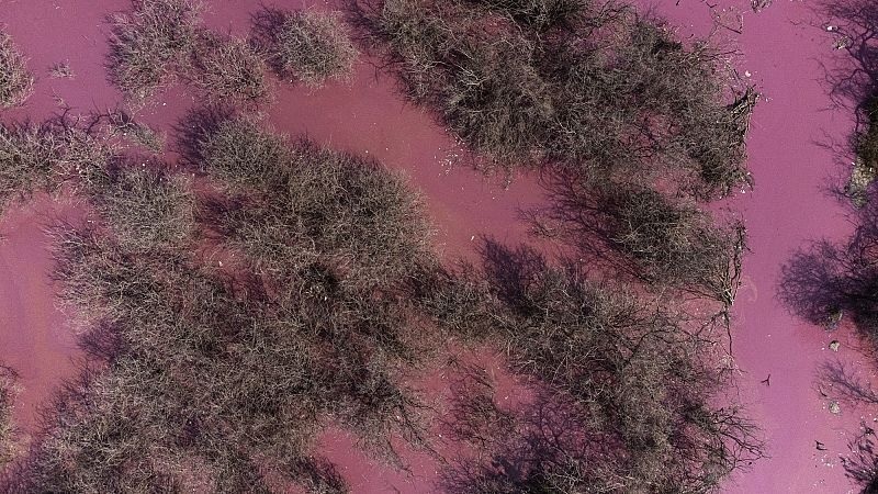 Μετά την Αυστραλία, την Παραγουάη και τη Σενεγάλη, το φαινόμενο της «Ροζ Λίμνης» εμφανίστηκε και στην Ρουμανία