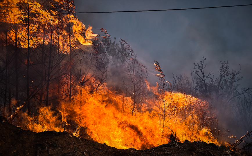 Πυροσβεστική: 42 αγροτοδασικές πυρκαγιές το τελευταίο 24ωρο &#8211; Μαίνεται η φωτιά στη Ζάκυνθο