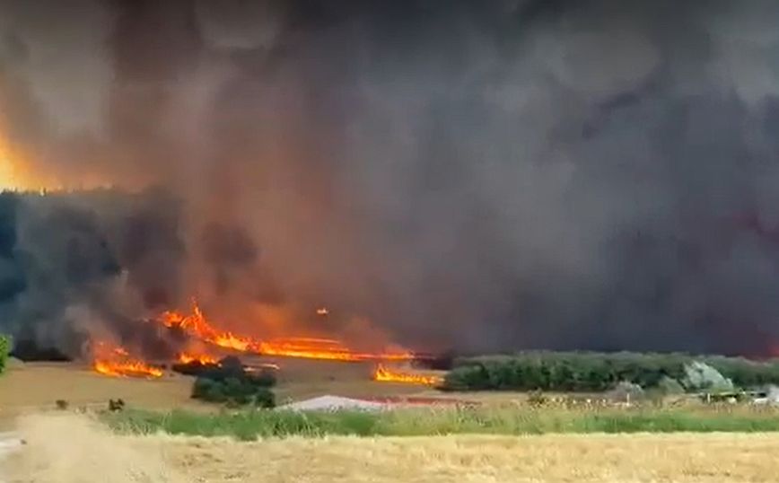 Φωτιά στην Αλεξανδρούπολη: Μάχη κόντρα στους ισχυρούς ανέμους &#8211; Νότια του οικισμού Λουτρός το κύριο μέτωπο
