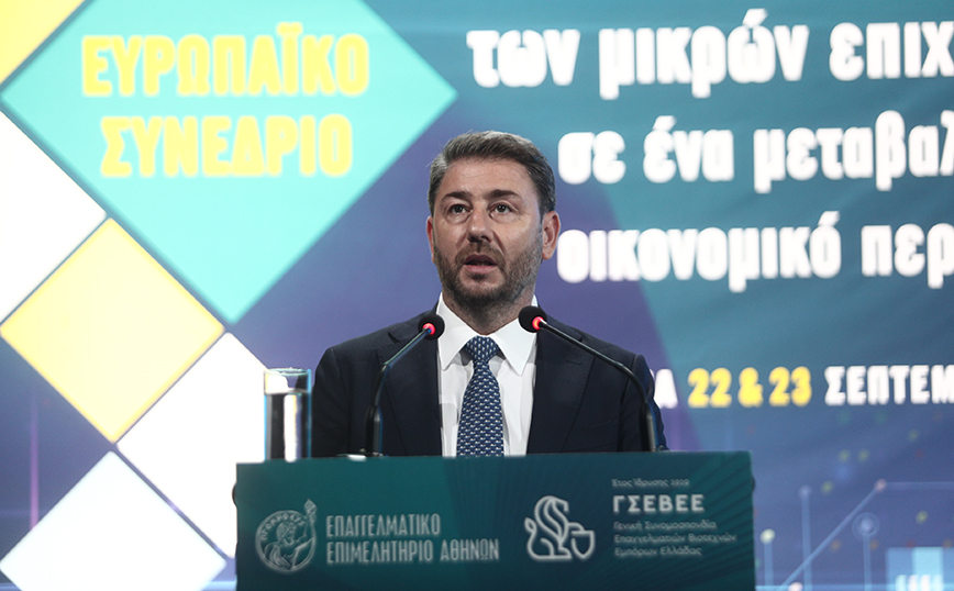 Ανδρουλάκης: Για τη ΝΔ το αναπτυξιακό όραμα της χώρας ταυτίζεται με το αναπτυξιακό σχέδιο 5 -10 μεγάλων επιχειρήσεων