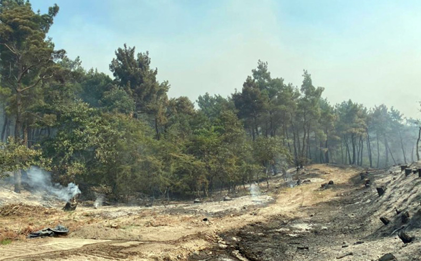 Απεγκλωβίστηκαν 25 μετανάστες στο δάσος της Δαδιάς