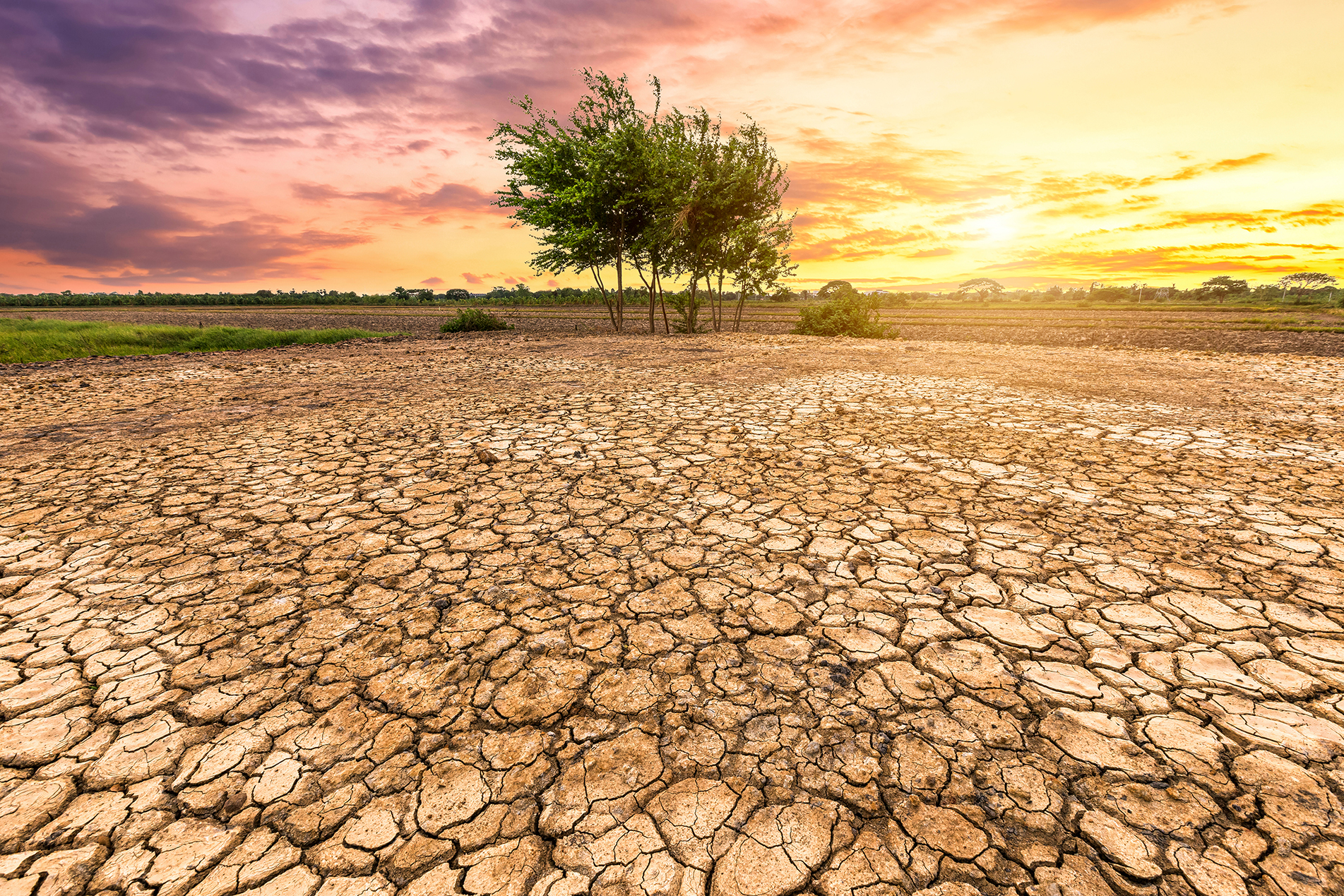 «Καμπανάκι» από τους επιστήμονες για την κλιματική αλλαγή &#8211; «Οι θερμοκρασίες του Ιουνίου είναι μία εικόνα του μέλλοντος»