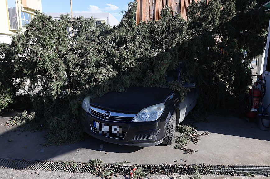 Η κακοκαιρία έφερε θυελλώδεις ανέμους στη Θεσσαλονίκη &#8211; Προκλήθηκαν πάνω από 40 πτώσεις δέντρων
