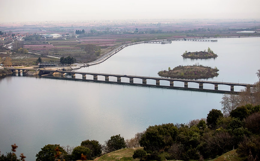 Κάθειρξη 15 ετών στην 30χρονη που πέταξε το 11 μηνών βρέφος της στον Αλιάκμονα