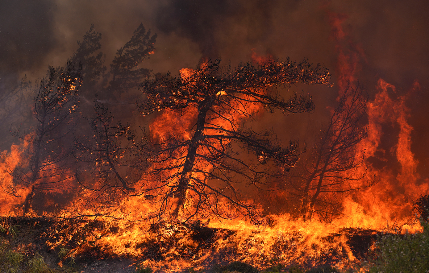 Πέντε νεκροί και δεκάδες τραυματίες σε δασικές πυρκαγιές στην Τουρκία