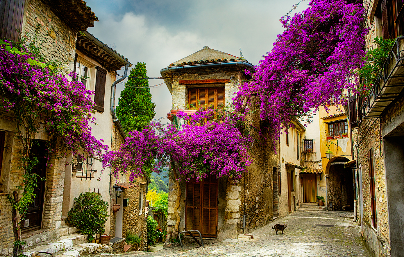 Προβηγκία Προβηγκία