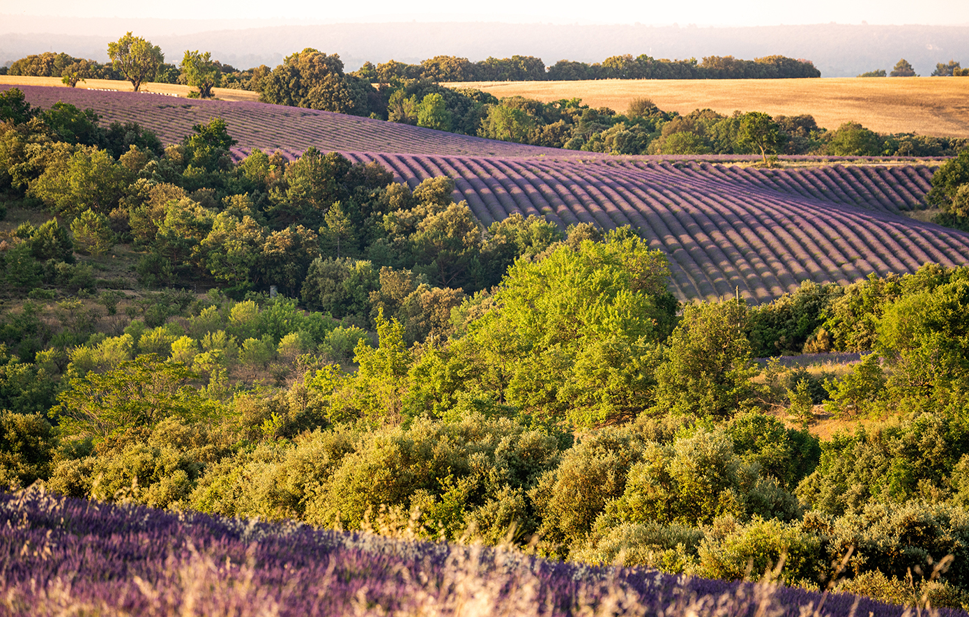Προβηγκία Προβηγκία