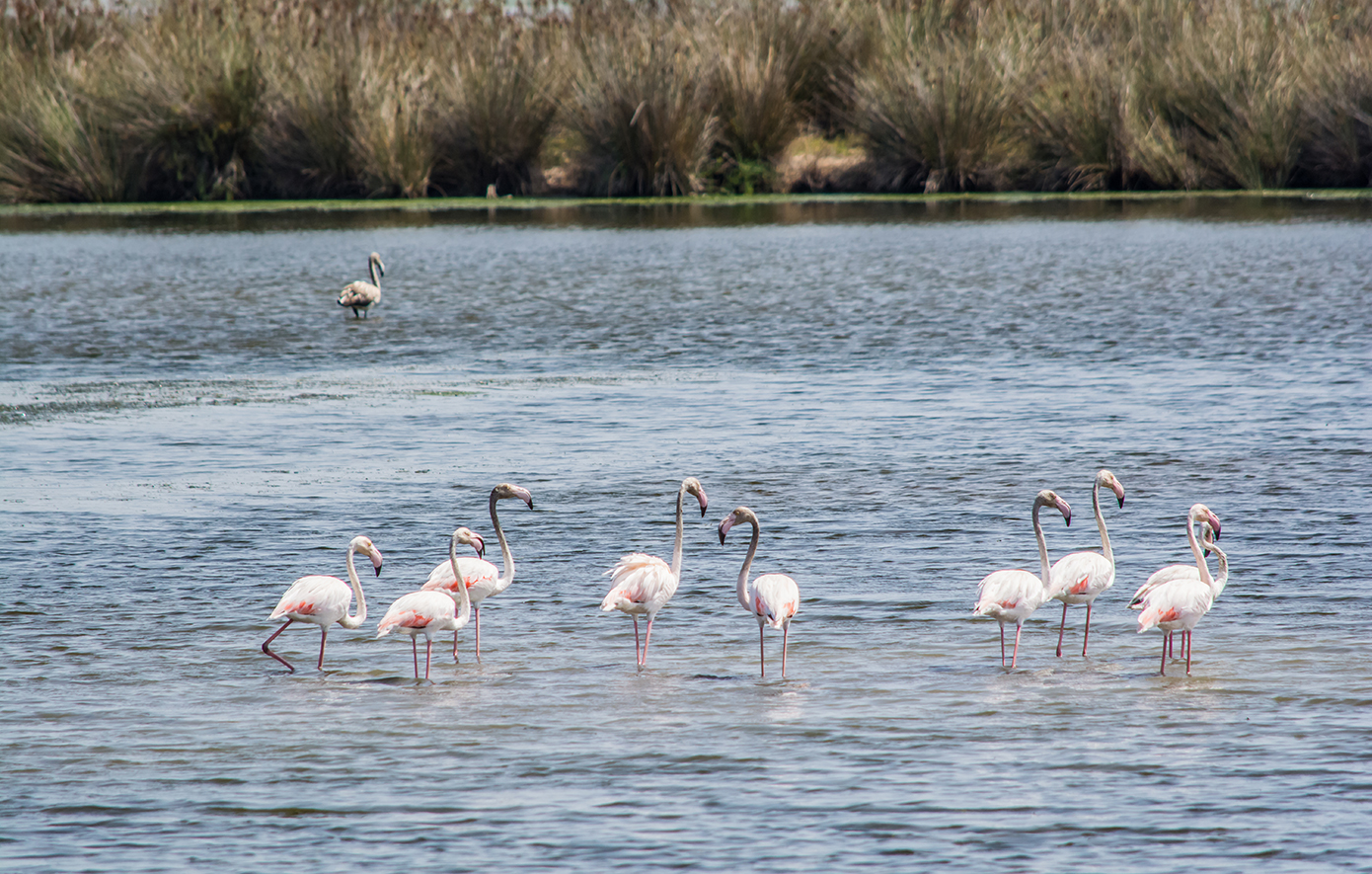 Αχελώος Αχελώος