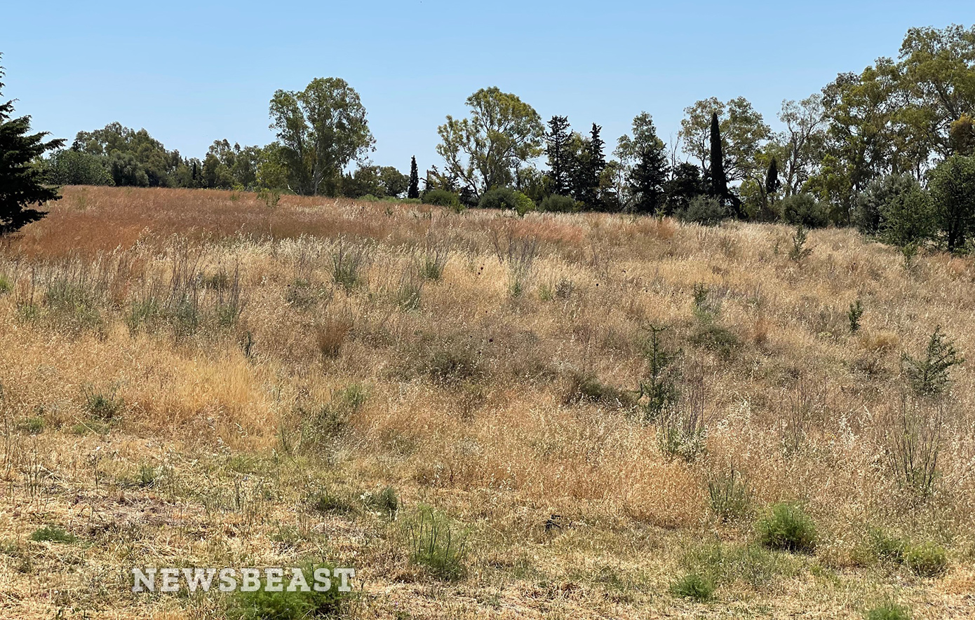 Γεμάτο με χόρτα και κλαδιά έκταση στην Κηφισιά που βρίσκεται μια ανάσα από το Άλσος Συγγρού Γεμάτο με χόρτα και κλαδιά έκταση στην Κηφισιά που βρίσκεται μια ανάσα από το Άλσος Συγγρού