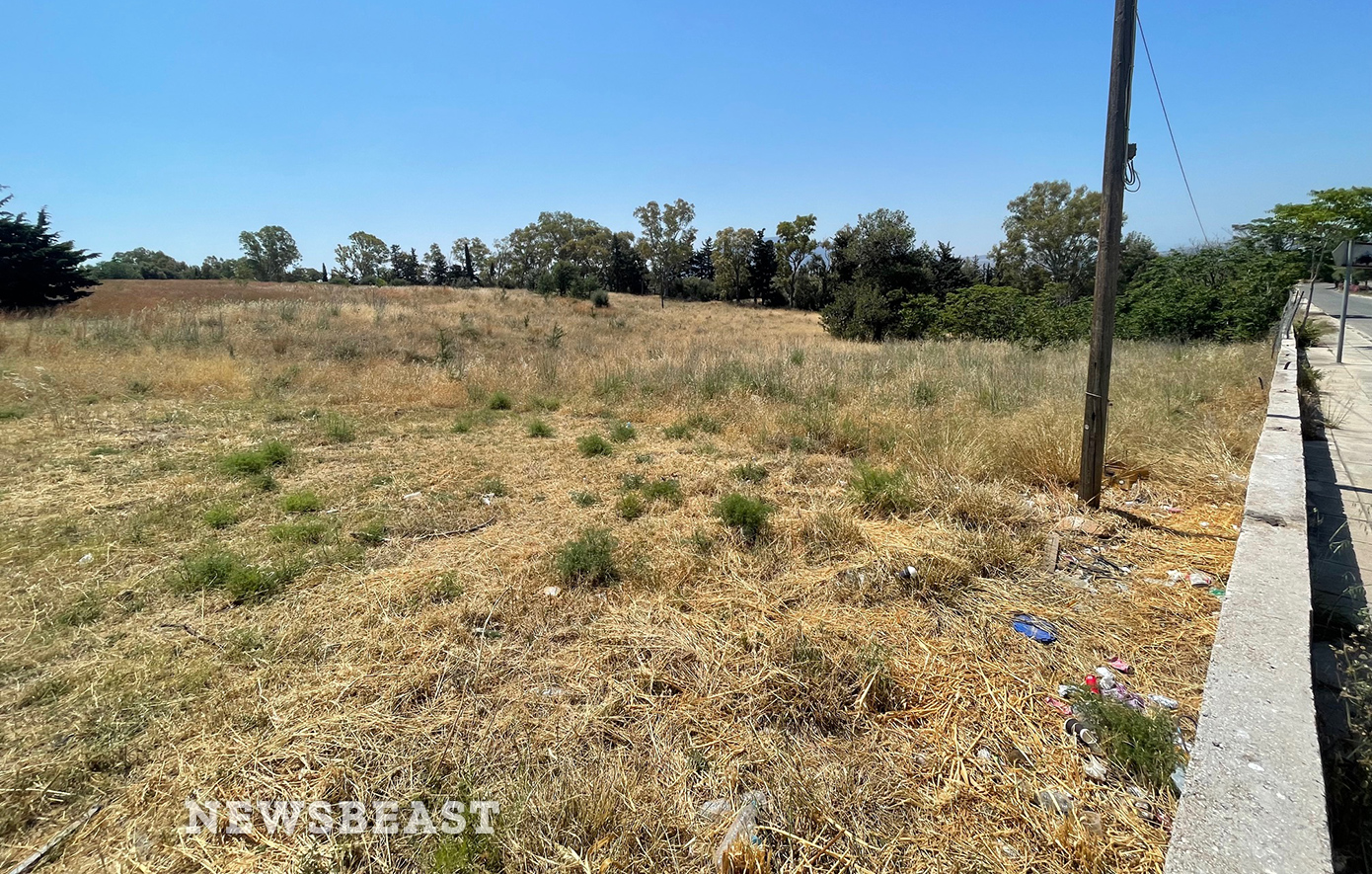 Γεμάτο με χόρτα και κλαδιά έκταση στην Κηφισιά που βρίσκεται μια ανάσα από το Άλσος Συγγρού Γεμάτο με χόρτα και κλαδιά έκταση στην Κηφισιά που βρίσκεται μια ανάσα από το Άλσος Συγγρού