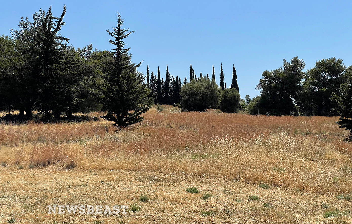 Γεμάτο με χόρτα και κλαδιά έκταση στην Κηφισιά που βρίσκεται μια ανάσα από το Άλσος Συγγρού Γεμάτο με χόρτα και κλαδιά έκταση στην Κηφισιά που βρίσκεται μια ανάσα από το Άλσος Συγγρού