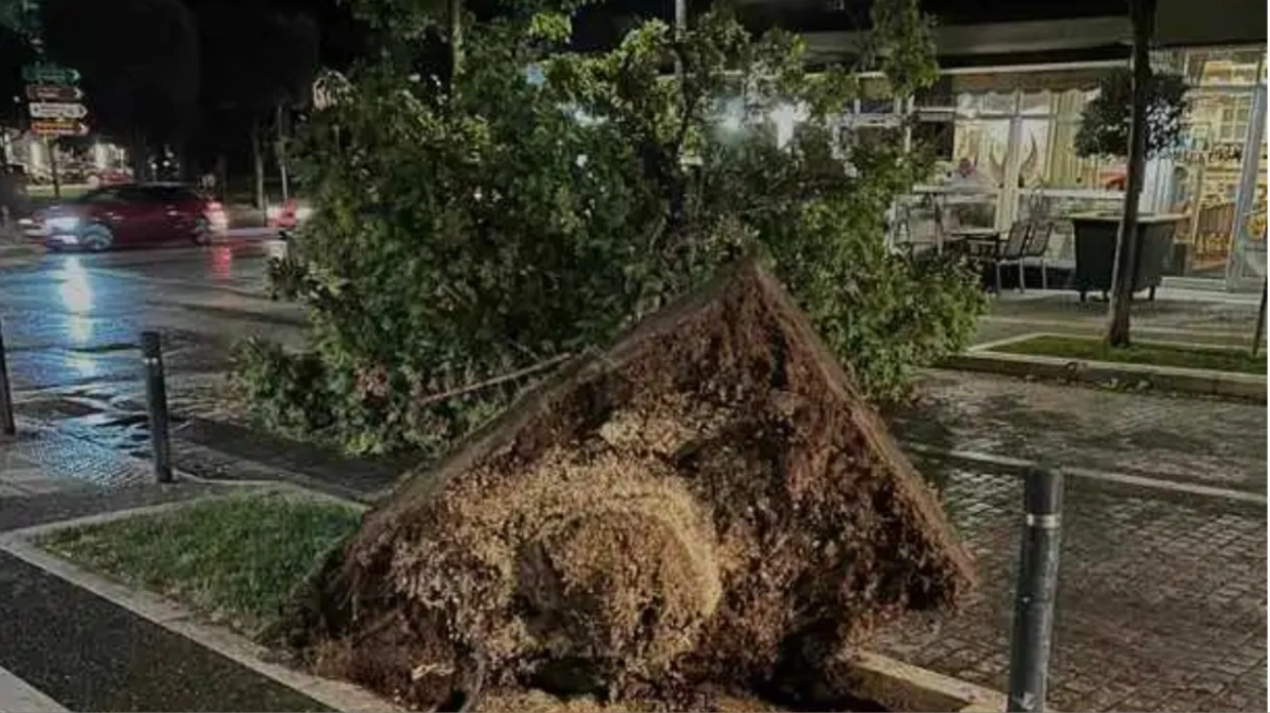 Αποκαθίστανται οι ζημιές από το μπουρίνι στη Βέροια &#8211; Πεσμένα δέντρα, καταστροφές σε οχήματα και καλλιέργειες