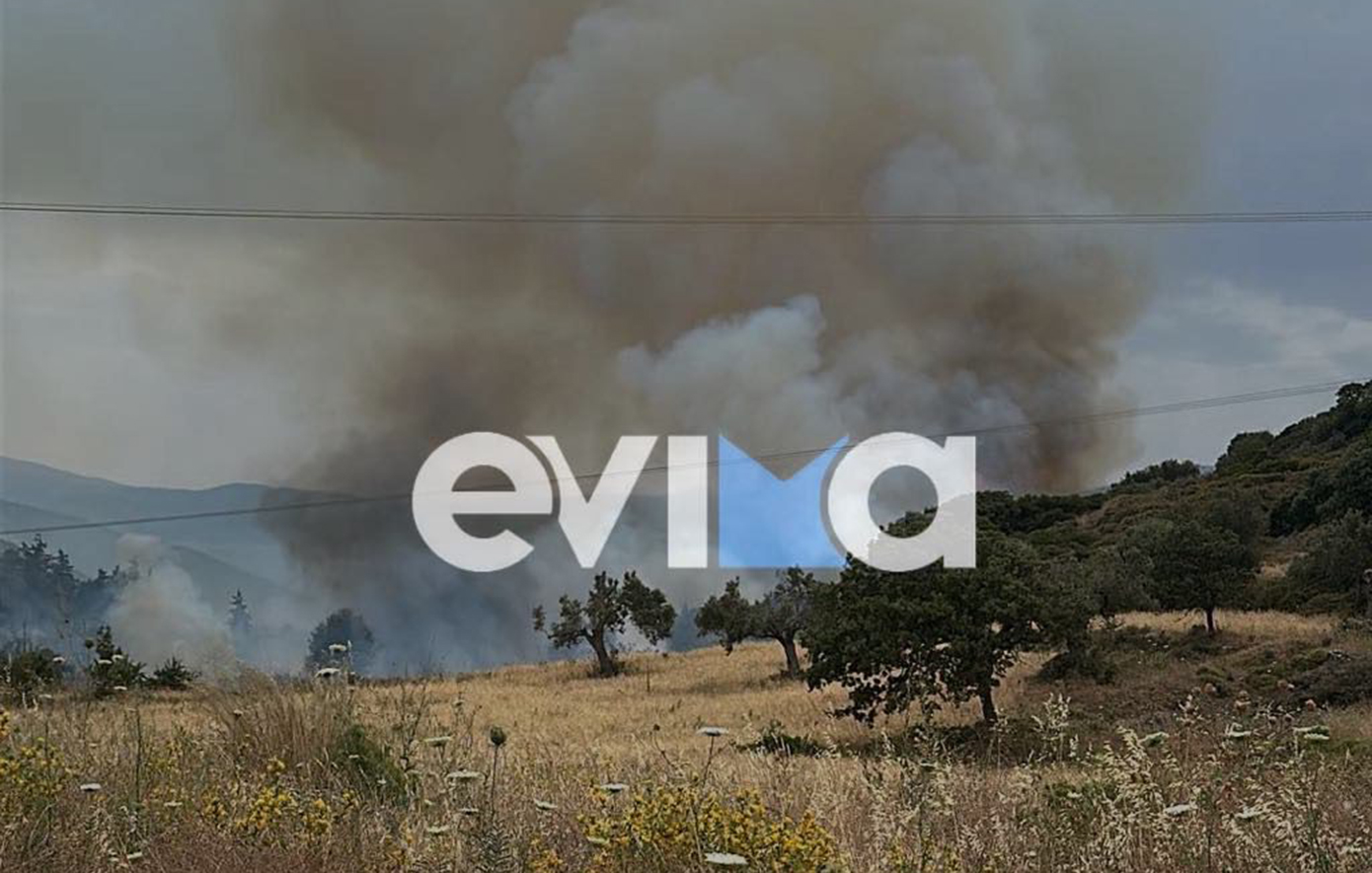 Φωτιά στην Εύβοια &#8211; Eπιχειρούν 40 πυροσβέστες και εναέρια μέσα &#8211; 112 για τους κατοίκους του Αλμυροπόταμου
