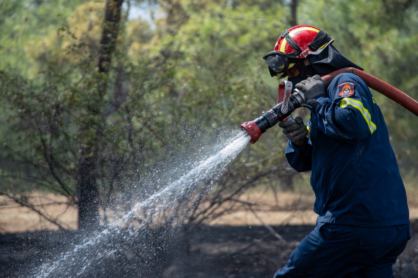 Φωτιά στην Κυπαρισσία &#8211; Μεγάλη κινητοποίηση της πυροσβεστικής