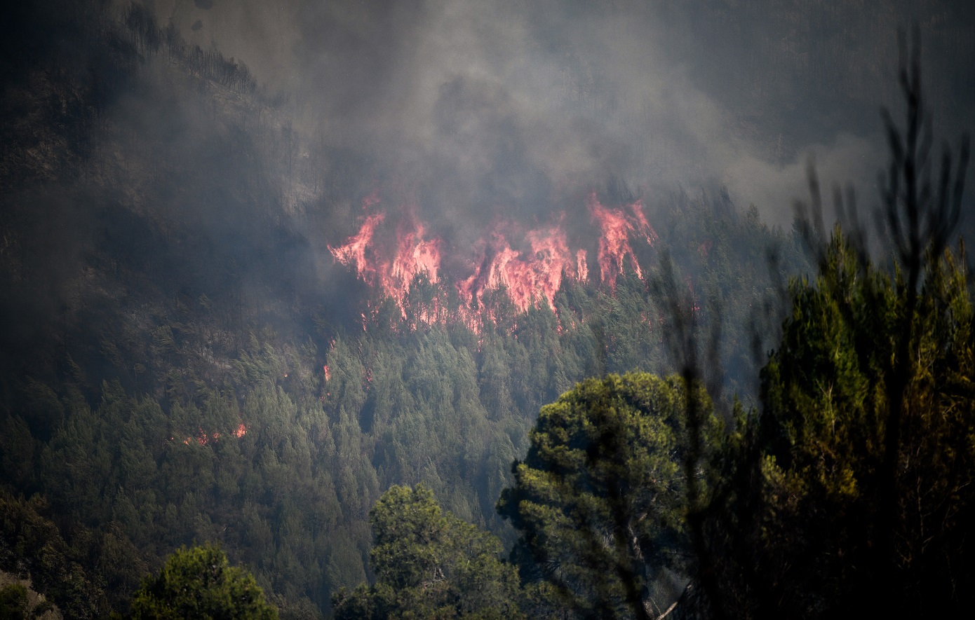 Φωτιά στην Άνδρο: «Απειλήθηκαν ζωές &#8211; Καίγεται μεγάλο καταπράσινο κομμάτι του νησιού»
