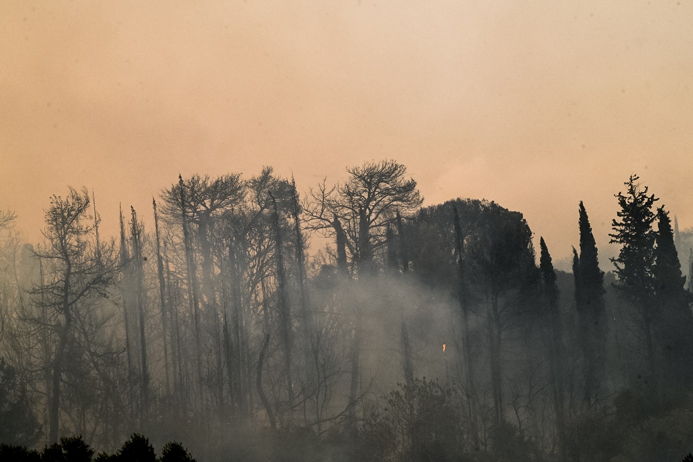 Χωρίς ενεργό μέτωπο η φωτιά στην Ηλεία &#8211; Διάσπαρτες εστίες σε Λάττα και Πρόδρομο