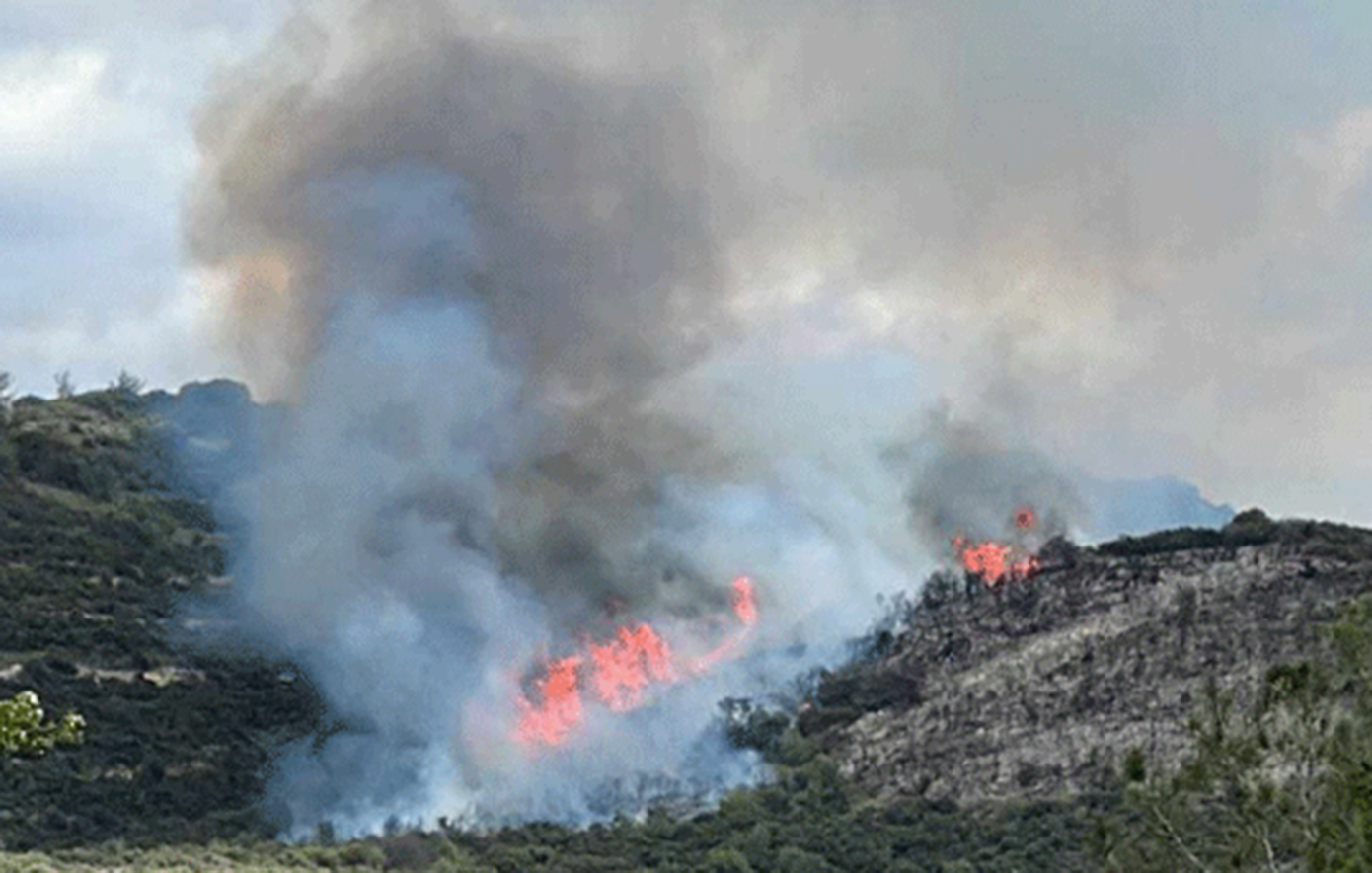 Συναγερμός στην Κύπρο: «Μάχη» με τις φλόγες στην Πάφο &#8211; Εκκενώνονται χωριά