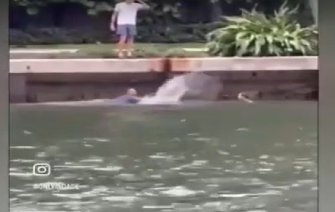 Γυναίκα διέσωσε σκύλο που ήταν σε νερό και της επιτέθηκε ο ιδιοκτήτης του – Μάρτυρες λένε πως τον έριξε ο ίδιος