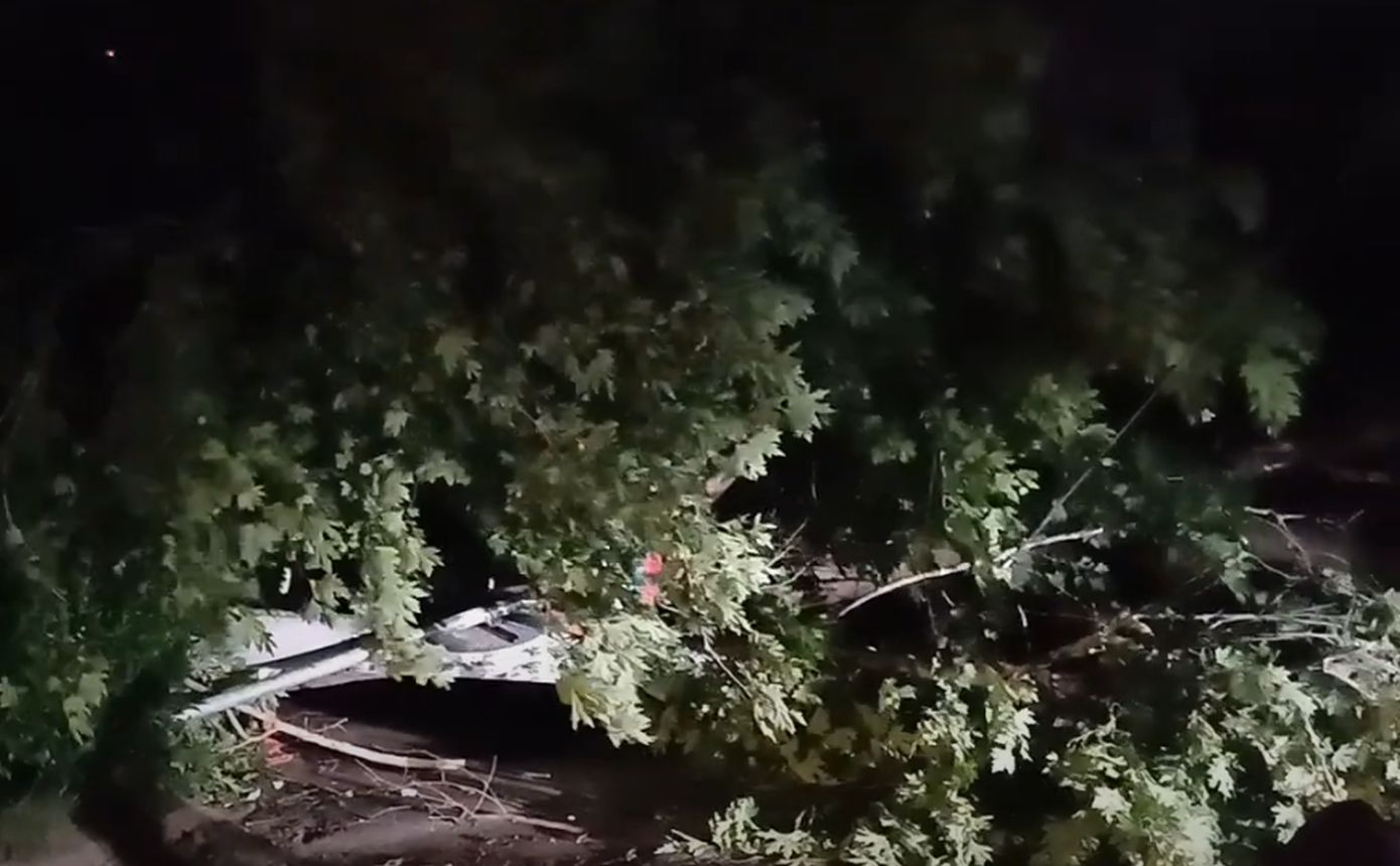 Δυνατό μπουρίνι ξήλωσε 15 δέντρα στη Βέροια, περιοχές βυθίστηκαν στο σκοτάδι – Από τους 42°C στους 30°C στην Αθήνα
