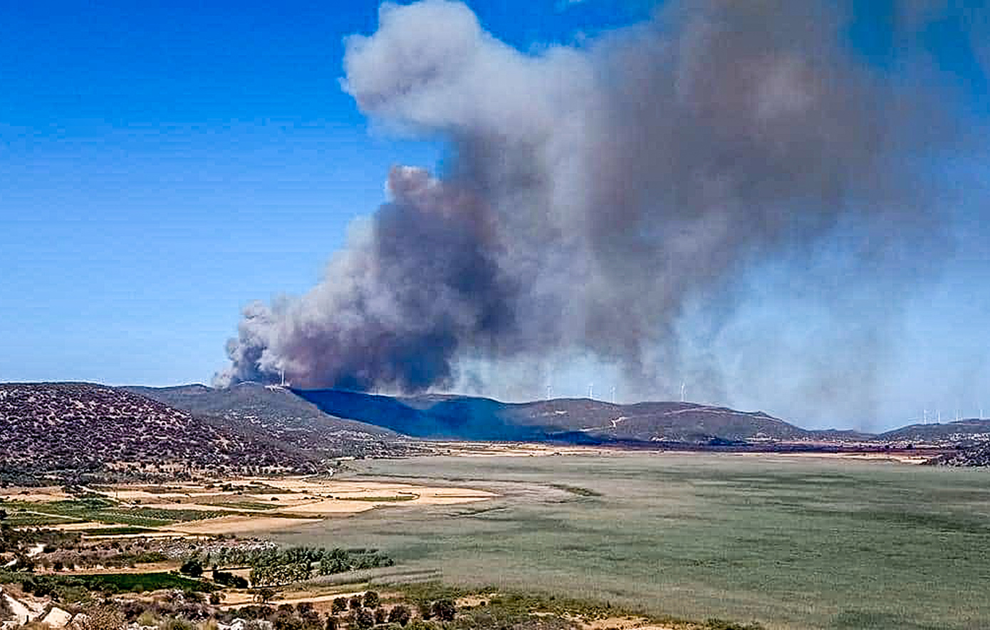 Σε εξέλιξη πυρκαγιά στην περιοχή Μεταξάδα Μεσσηνίας